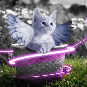 四川老太户外XXXHD
